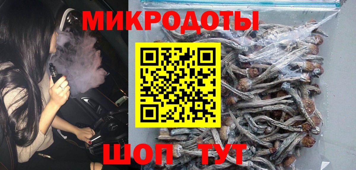 Галлюциногенные грибы Psilocybine cubensis  Вход с VPN  Юрга 